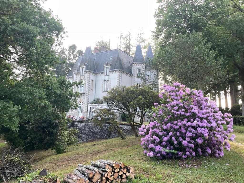Chateau Maleplane Bed and Breakfast Saint-Léonard-de-Noblat Eksteriør billede