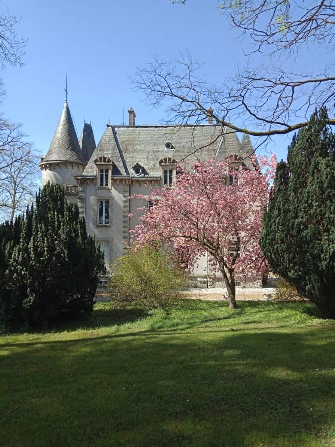 Chateau Maleplane Bed and Breakfast Saint-Léonard-de-Noblat Eksteriør billede