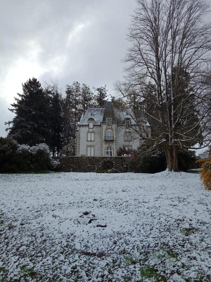 Chateau Maleplane Bed and Breakfast Saint-Léonard-de-Noblat Eksteriør billede