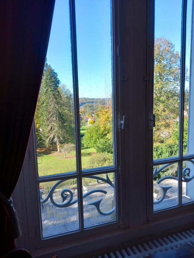 Chateau Maleplane Bed and Breakfast Saint-Léonard-de-Noblat Eksteriør billede