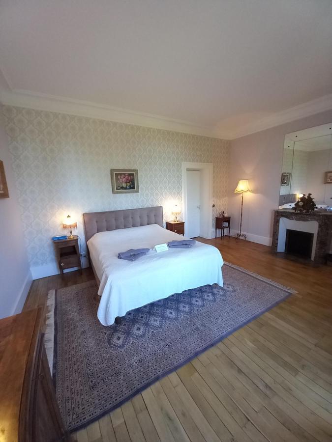 Chateau Maleplane Bed and Breakfast Saint-Léonard-de-Noblat Eksteriør billede