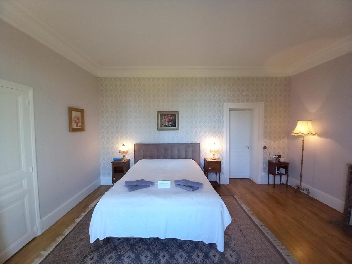 Chateau Maleplane Bed and Breakfast Saint-Léonard-de-Noblat Eksteriør billede
