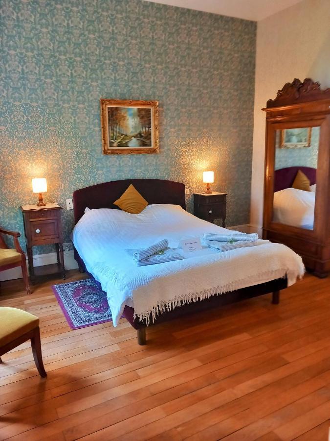 Chateau Maleplane Bed and Breakfast Saint-Léonard-de-Noblat Eksteriør billede