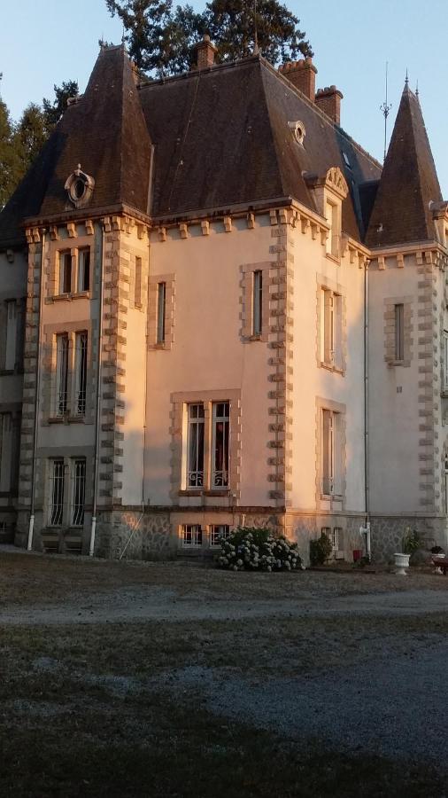 Chateau Maleplane Bed and Breakfast Saint-Léonard-de-Noblat Eksteriør billede