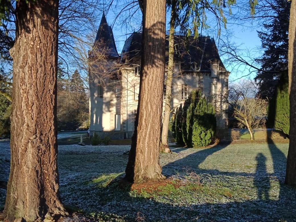 Chateau Maleplane Bed and Breakfast Saint-Léonard-de-Noblat Eksteriør billede